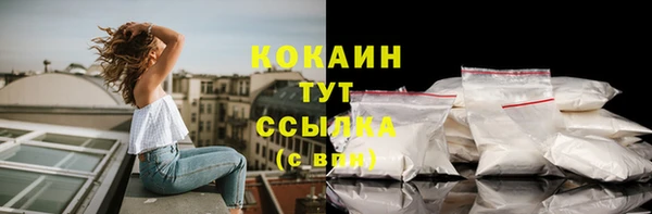 гидра Кукмор