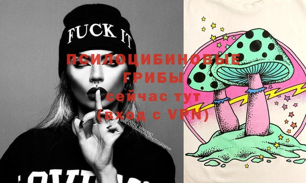 гидра Кукмор