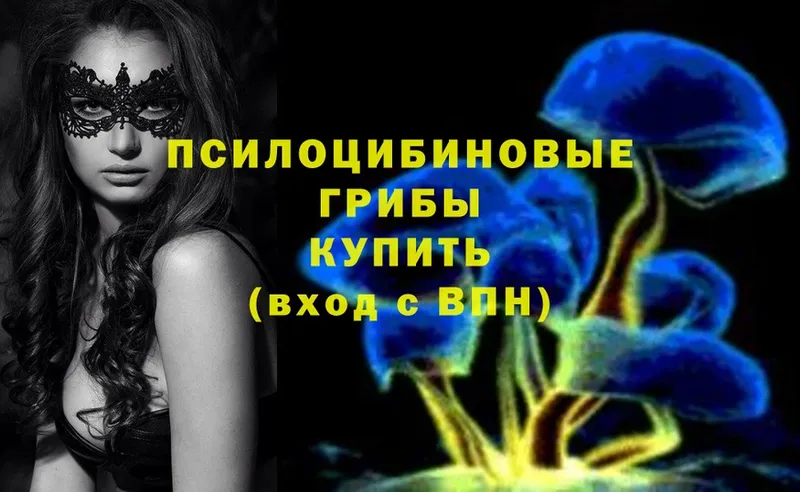 Галлюциногенные грибы Psilocybe  Руза 