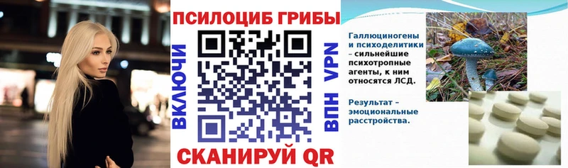 сколько стоит Руза hydra как войти Псилоцибиновые грибы прущие грибы
